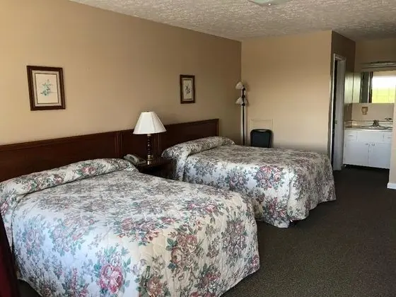 Fox Mountain Inn - Oda