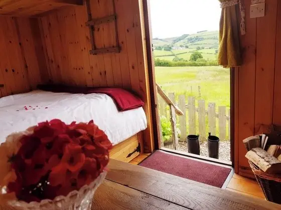 Foxglove Holiday Accommodation - Öne Çıkan Resim
