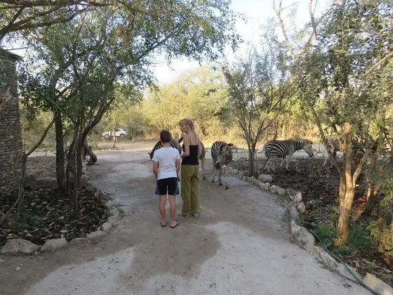 Foxy Crocodile Bush Retreat - Dış Mekan