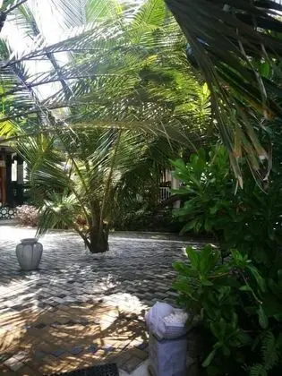 Frangipani beach villa - Dış Mekan