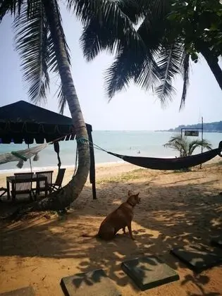 Frangipani beach villa - Plaj