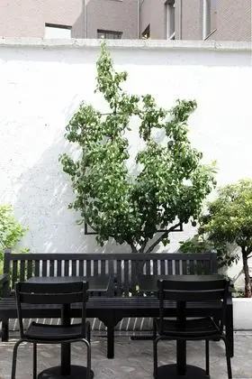 Hotel FRANQ - Dış Mekan