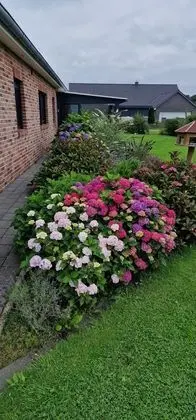 FRAULINDNERFerien - DZ Lüneburg - Dış Mekan