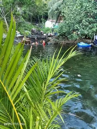 Freedom Bungalow Koh Rong Saloem - Havuz