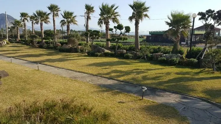 The Freedom - Hostel - Dış Mekan