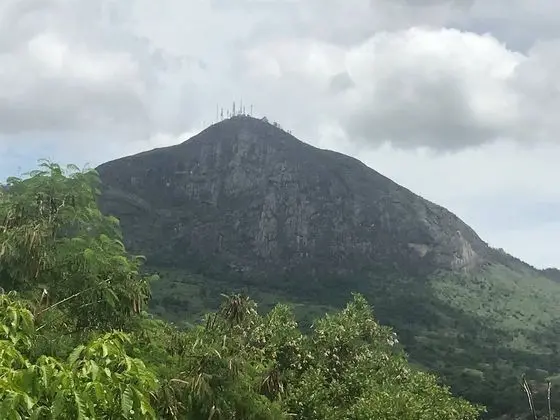 Freshness Island By The Breeze Of The Ibituruna