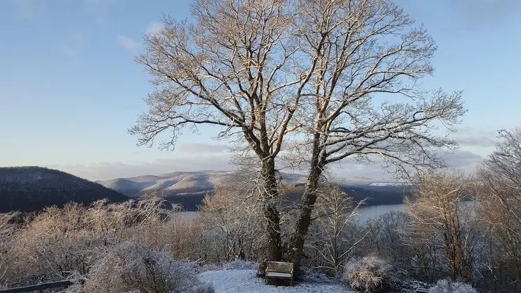 Friedrichs Ferienwohnungen