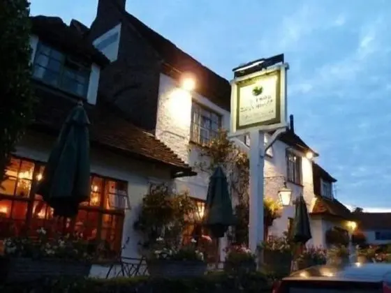 The Frog at Skirmett - Dış Mekan