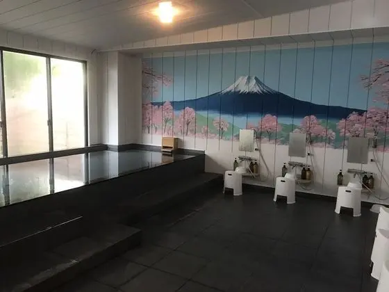 Fuji Mountain Resort Hotel - Havuz