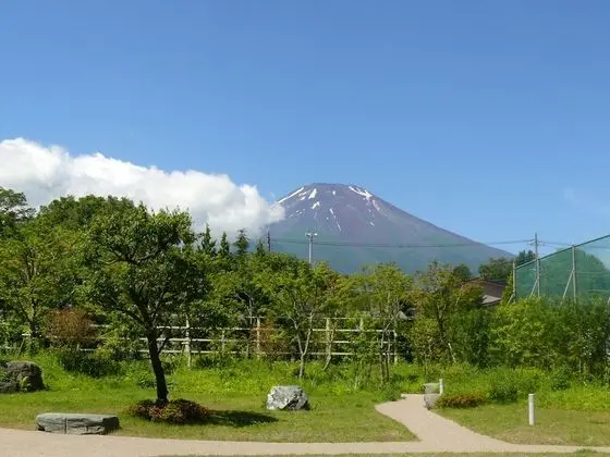 Fujimatsuzono Hotel