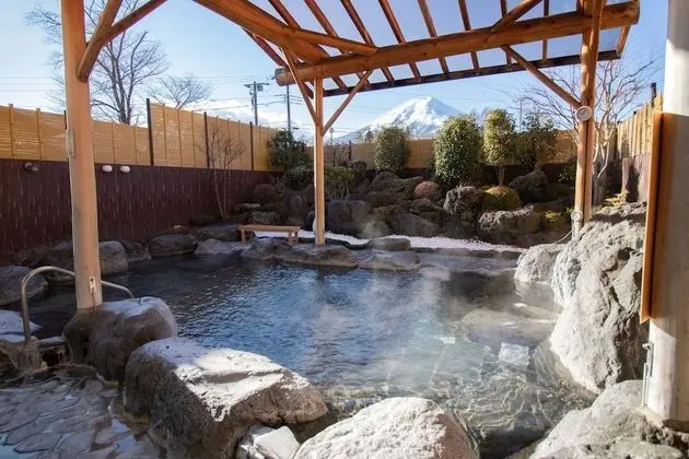 Fujisan Resort Loghouse Fuyo no Yado - Spa