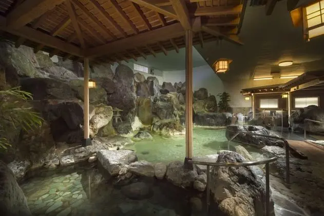 Fujisan Onsen Bessho SASA - Havuz