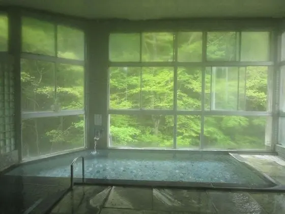 Fujiya Ryokan - Ryokan Tesisleri