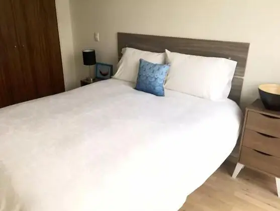 Full Amenities Apt Polanco Area - Oda