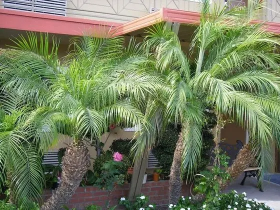 Fullerton Lodge - Dış Mekan