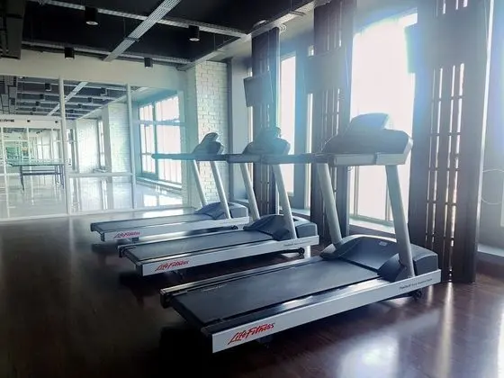 Fully Furnished With Comfort Design Studio Roseville Apartment - Fitness
