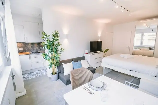 Fully Renovated Studio - Luxembourg City - İç Mekan