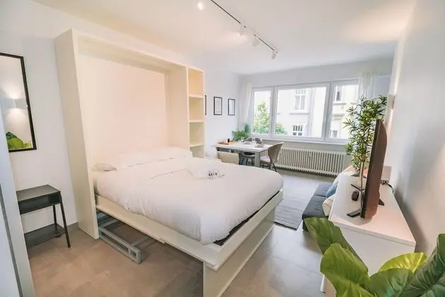 Fully Renovated Studio - Luxembourg City - Oda