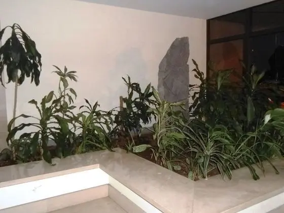 Funchal View Apartment - Dış Mekan