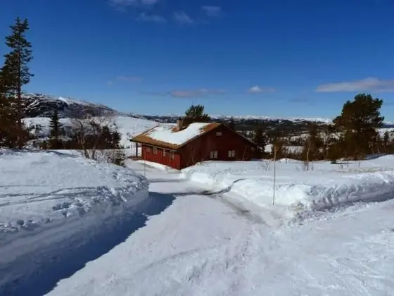 Furulie Cabin - Flå