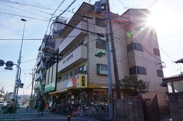 Fushimi-IVY Bunk bed twin 1