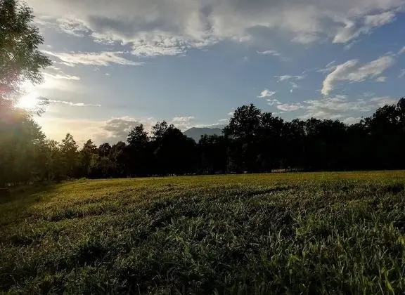 Future is Nature Playground - Dış Mekan