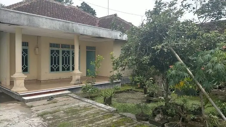 G Land Backpacker - 1