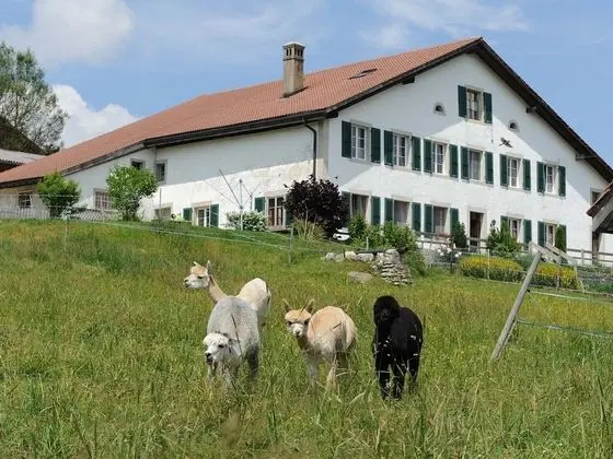G te - Ferme OCl s Muriaux - Oda