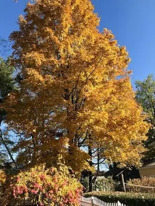 The Gables of Rhinebeck Inn - Dış Mekan