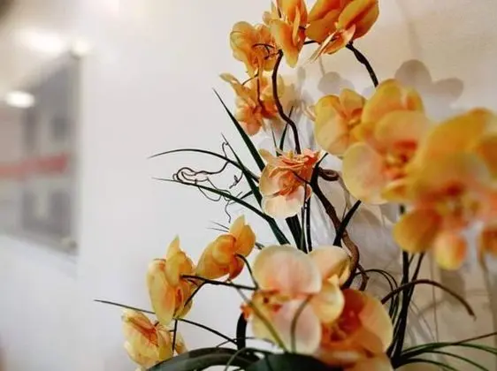 Gainsborough House Hotel - Lobi