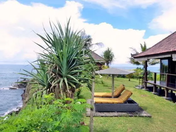 Gajah Mina Beach Resort - Genel