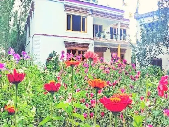 Galaxy Guest House - Dış Mekan