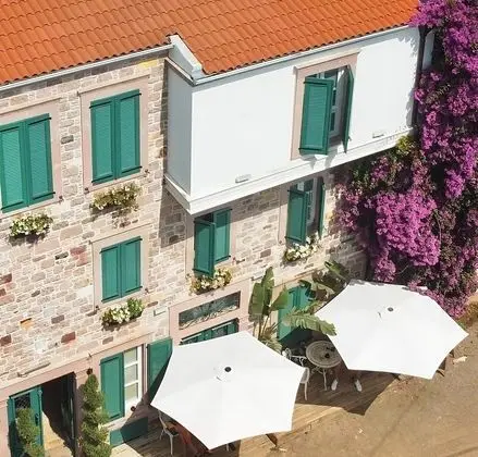 Galinis 1894 Cunda