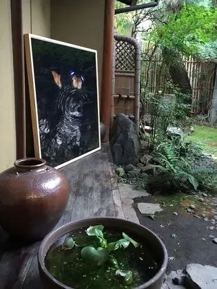Gallery Nozawa Inn - Dış Mekan