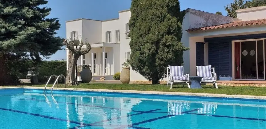 Gallo Colorao - Adults Only