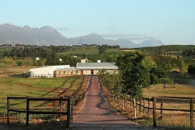 Galloway Guest House