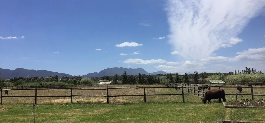 Galloway Guest House - Dış Mekan