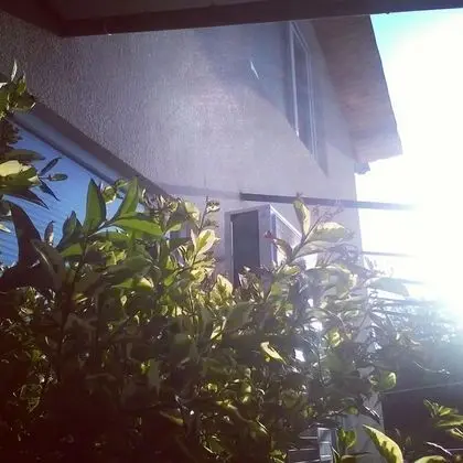 Galo - Hostel
