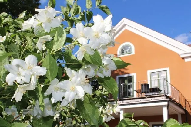Gamla Brukshandeln B&B - Dış Mekan