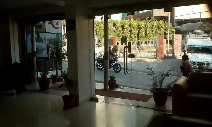 Hotel Ganesha Inn Ganga View - Lobi