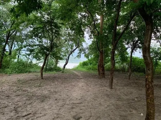 Ganga Yog Retreat by Yog Gurukul - Dış Mekan