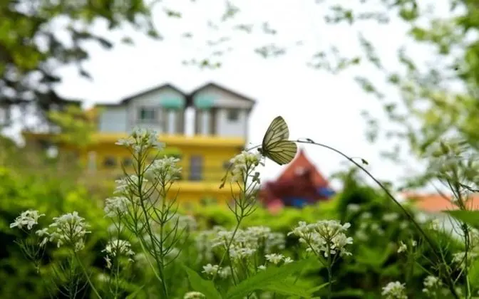Ganghwado Petit Pension