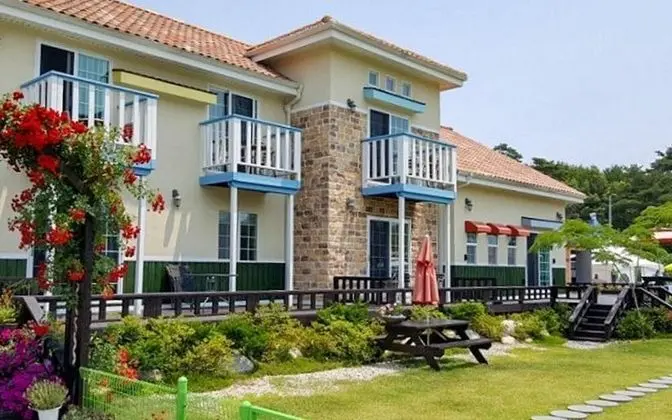 Gangneung Friends Pets Friendly Pension - Misafir Tesisleri ve Hizmetleri