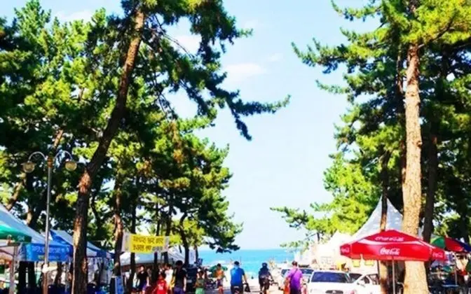 Gangneung Karis Pension