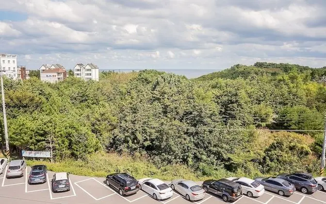Gangneung Oasis
