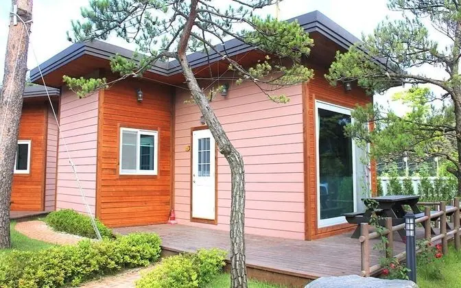 Gangneung Way to Gyeongpodae Pension