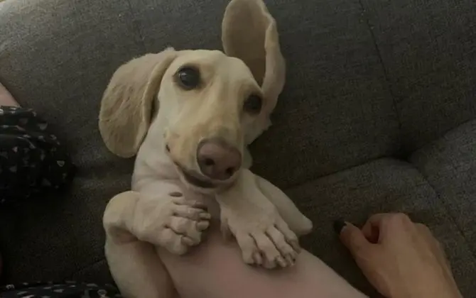 Gapyeong Drawing You Pension