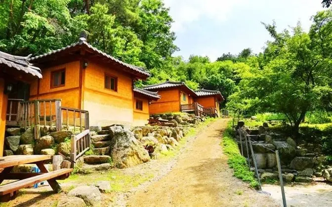 Gapyeong Evening Scent Pension - Misafir Tesisleri ve Hizmetleri