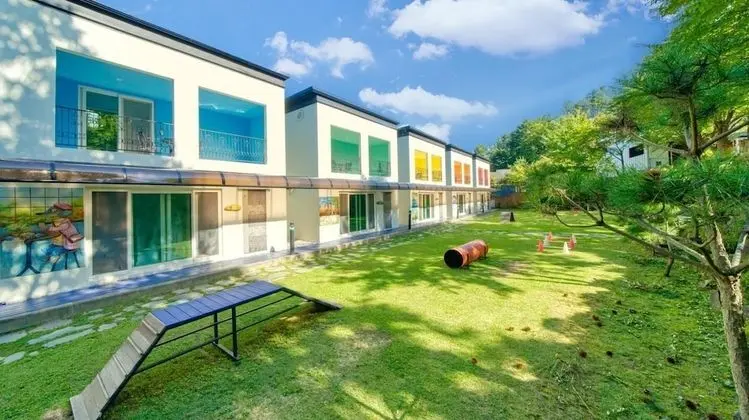 Gapyeong Himong Aegyeon Poolvilla Pension - Dış Mekan