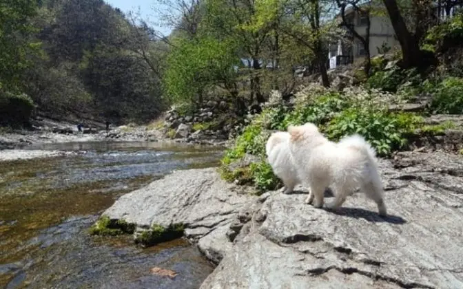 Gapyeong Notting Hill Valley Pension